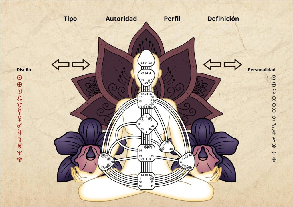 diseño-humano-davinia